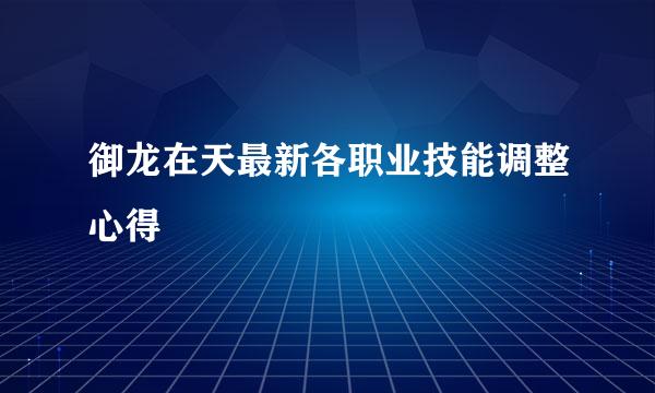 御龙在天最新各职业技能调整心得
