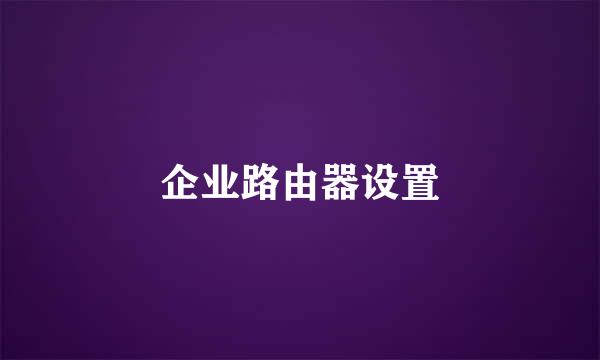 企业路由器设置