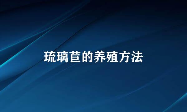 琉璃苣的养殖方法