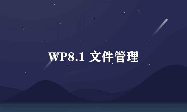 WP8.1 文件管理