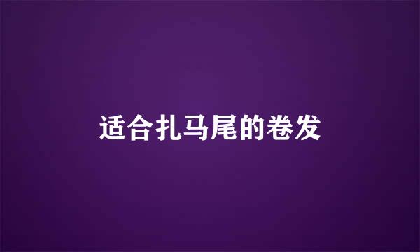 适合扎马尾的卷发