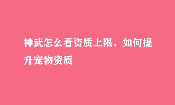 神武怎么看资质上限，如何提升宠物资质