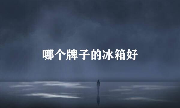 哪个牌子的冰箱好