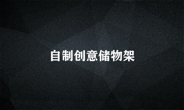 自制创意储物架
