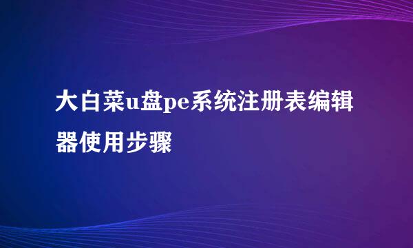 大白菜u盘pe系统注册表编辑器使用步骤