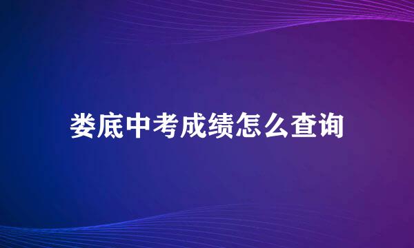 娄底中考成绩怎么查询