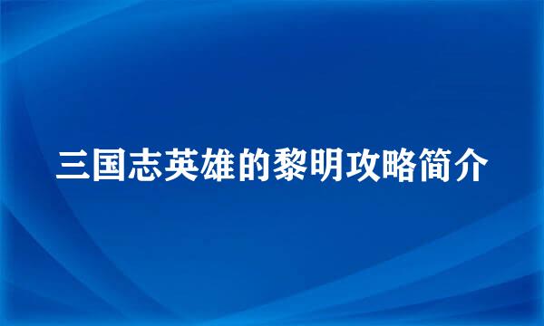 三国志英雄的黎明攻略简介