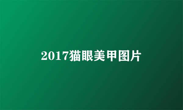 2017猫眼美甲图片