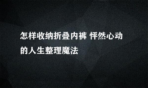 怎样收纳折叠内裤 怦然心动的人生整理魔法