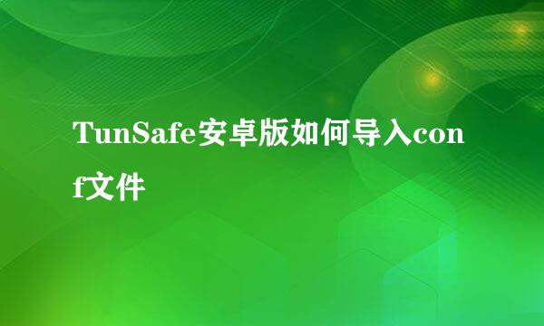 TunSafe安卓版如何导入conf文件