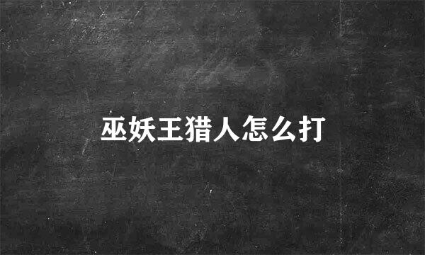 巫妖王猎人怎么打