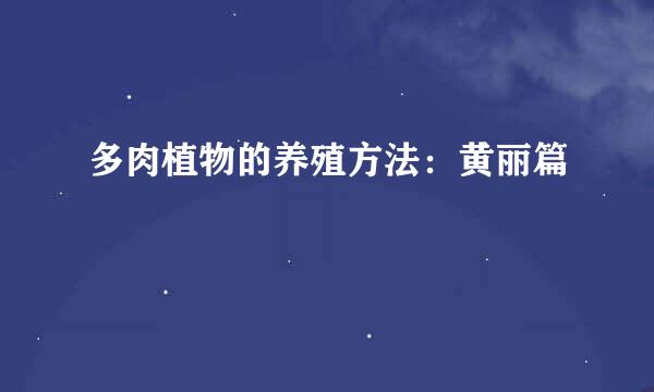 多肉植物的养殖方法：黄丽篇