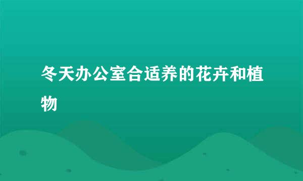 冬天办公室合适养的花卉和植物