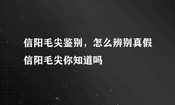 信阳毛尖鉴别，怎么辨别真假信阳毛尖你知道吗