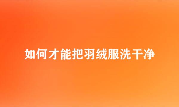 如何才能把羽绒服洗干净