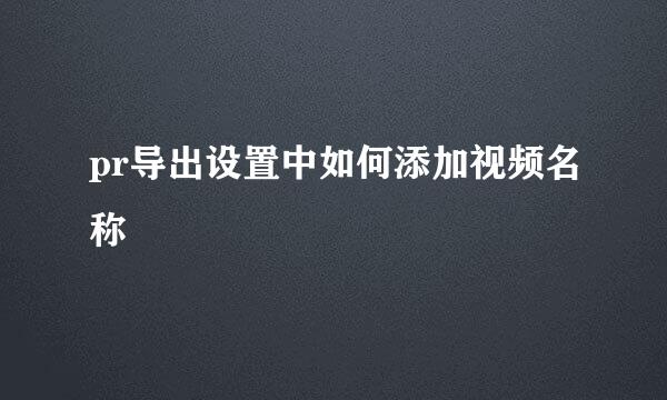 pr导出设置中如何添加视频名称