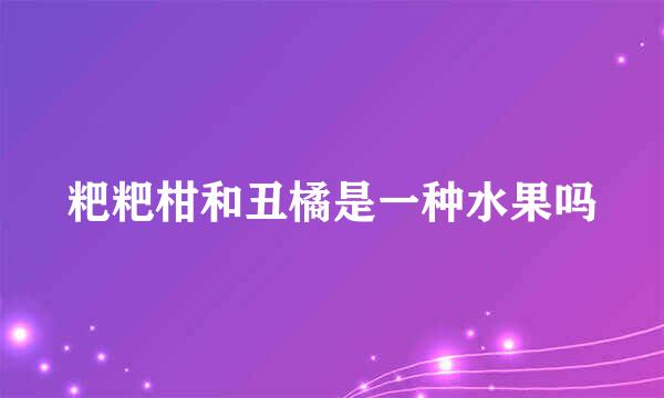 粑粑柑和丑橘是一种水果吗