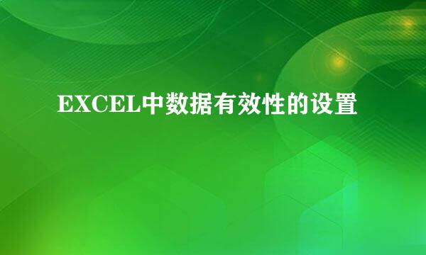 EXCEL中数据有效性的设置