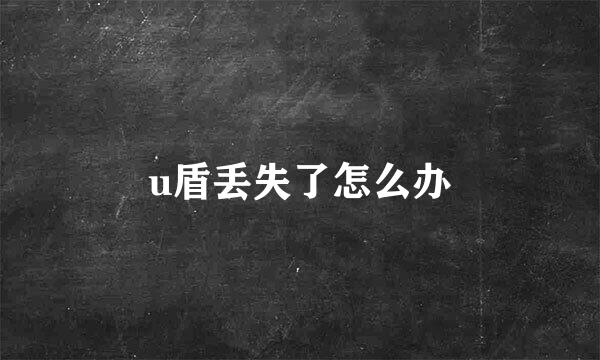 u盾丢失了怎么办