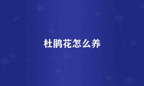 杜鹃花怎么养