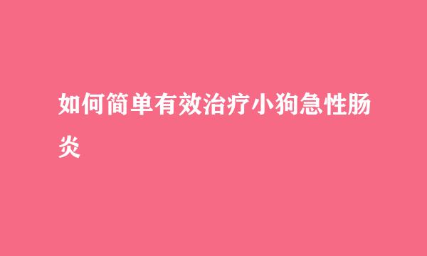 如何简单有效治疗小狗急性肠炎