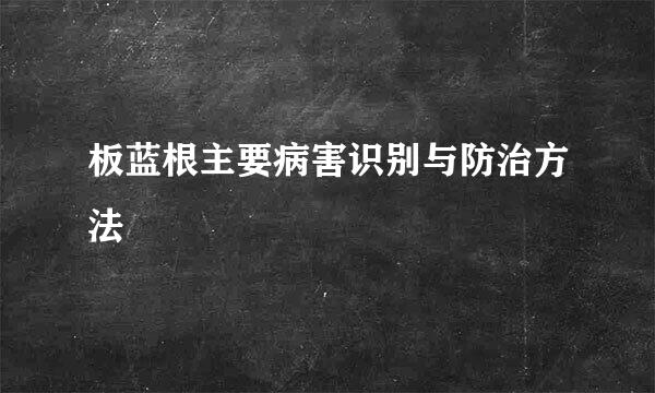 板蓝根主要病害识别与防治方法