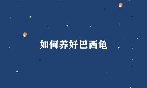 如何养好巴西龟