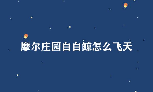 摩尔庄园白白鲸怎么飞天