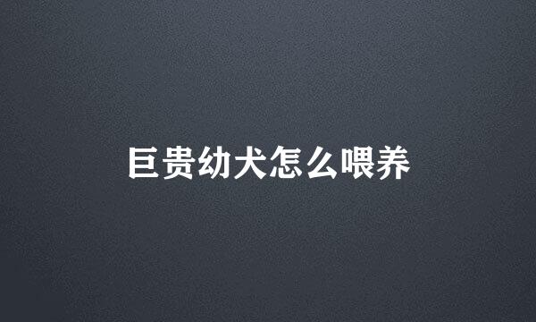 巨贵幼犬怎么喂养
