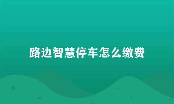 路边智慧停车怎么缴费