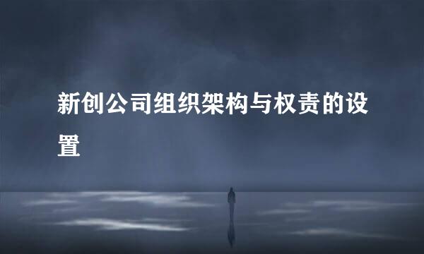 新创公司组织架构与权责的设置