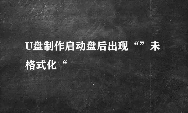 U盘制作启动盘后出现“”未格式化“