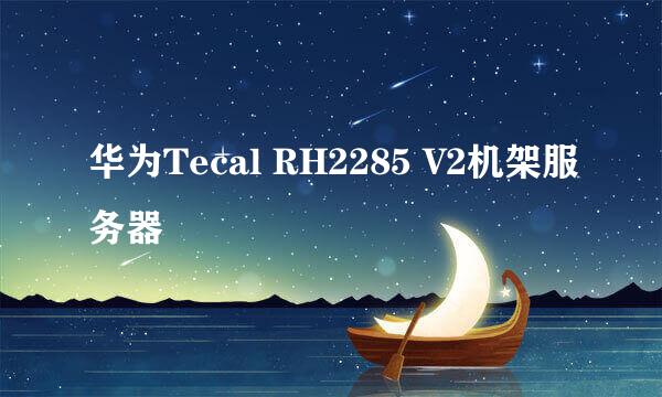 华为Tecal RH2285 V2机架服务器