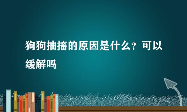 狗狗抽搐的原因是什么？可以缓解吗