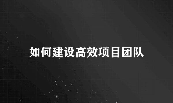 如何建设高效项目团队