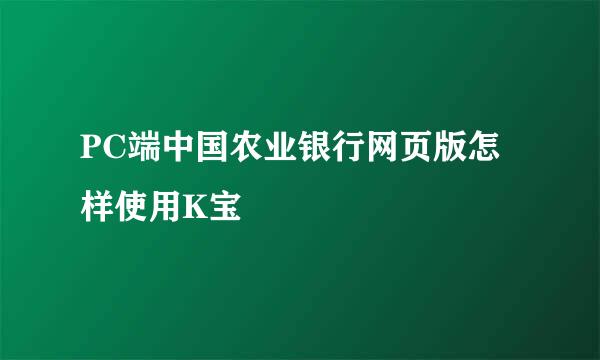 PC端中国农业银行网页版怎样使用K宝