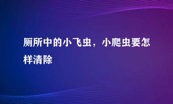 厕所中的小飞虫，小爬虫要怎样清除
