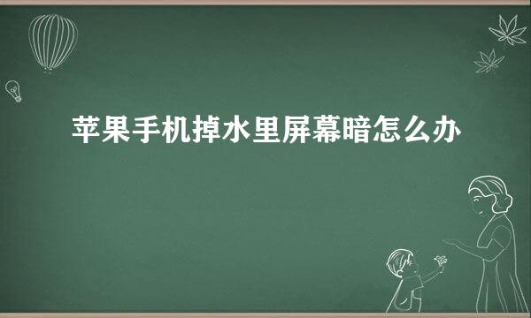 苹果手机掉水里屏幕暗怎么办