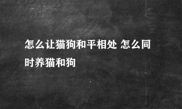 怎么让猫狗和平相处 怎么同时养猫和狗