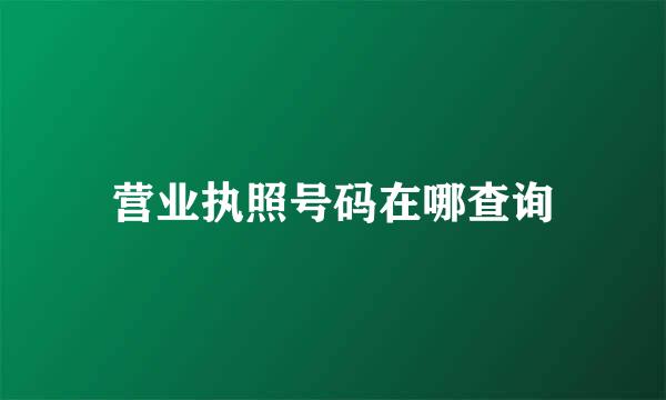 营业执照号码在哪查询