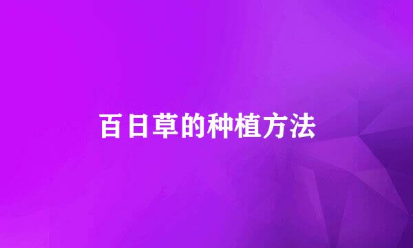 百日草的种植方法