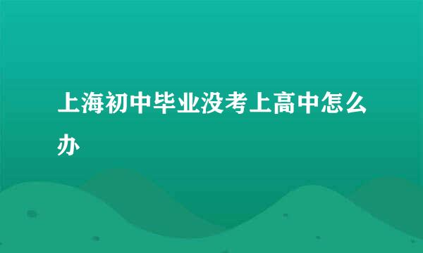上海初中毕业没考上高中怎么办