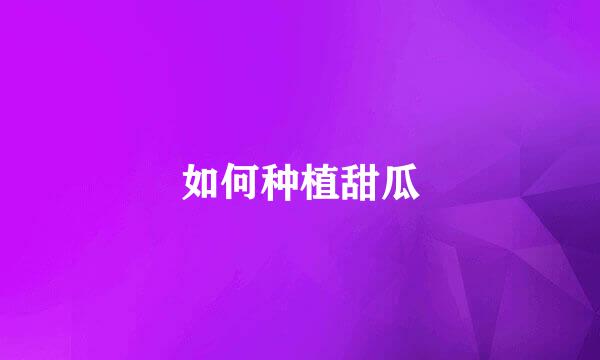 如何种植甜瓜