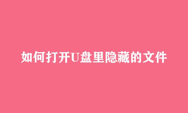 如何打开U盘里隐藏的文件