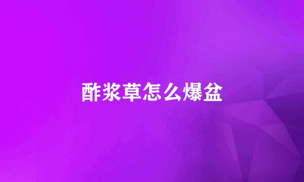 酢浆草怎么爆盆