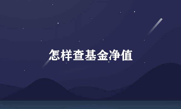 怎样查基金净值
