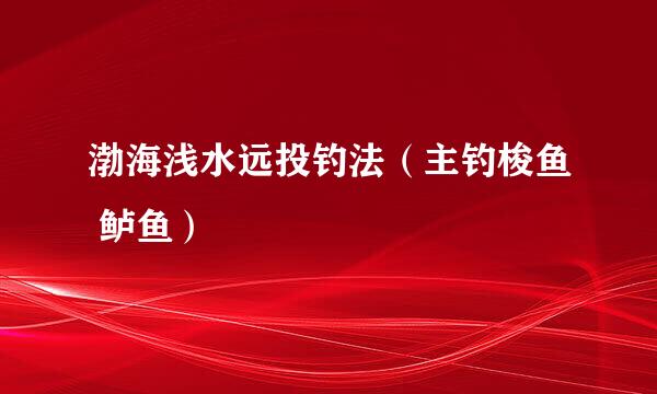 渤海浅水远投钓法（主钓梭鱼 鲈鱼）