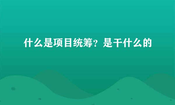 什么是项目统筹？是干什么的