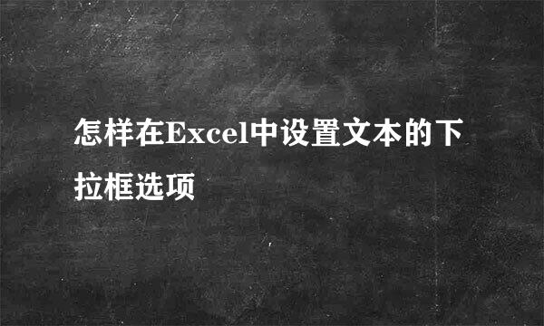 怎样在Excel中设置文本的下拉框选项