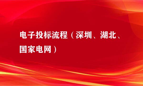 电子投标流程（深圳、湖北、国家电网）